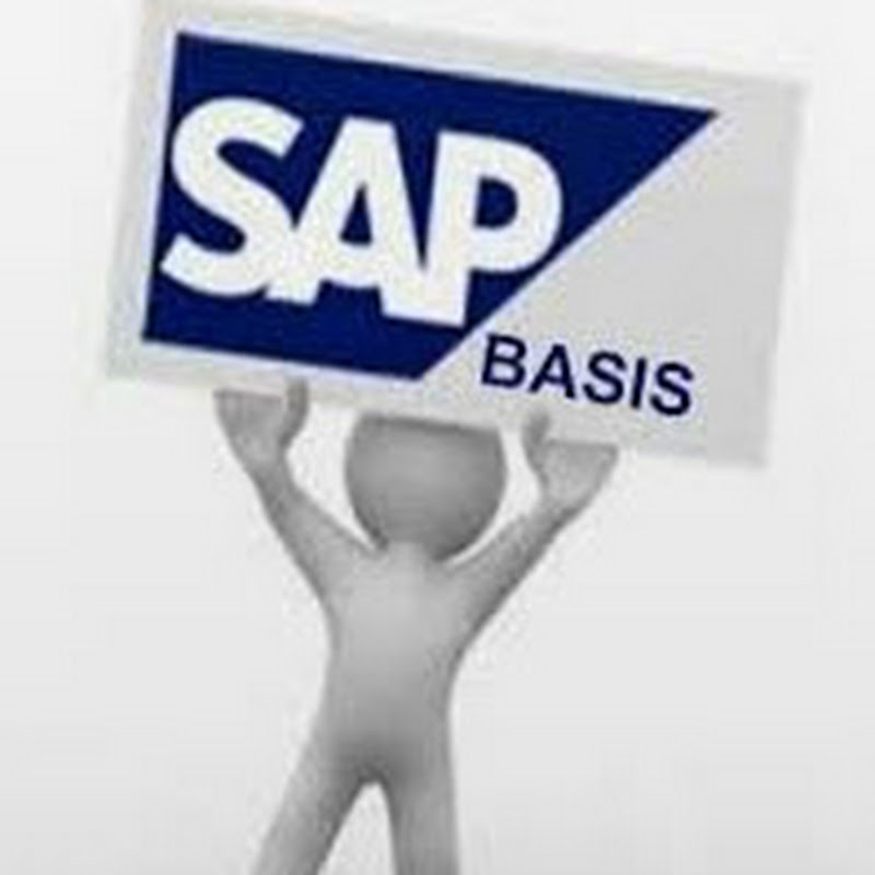 The SAP Basis