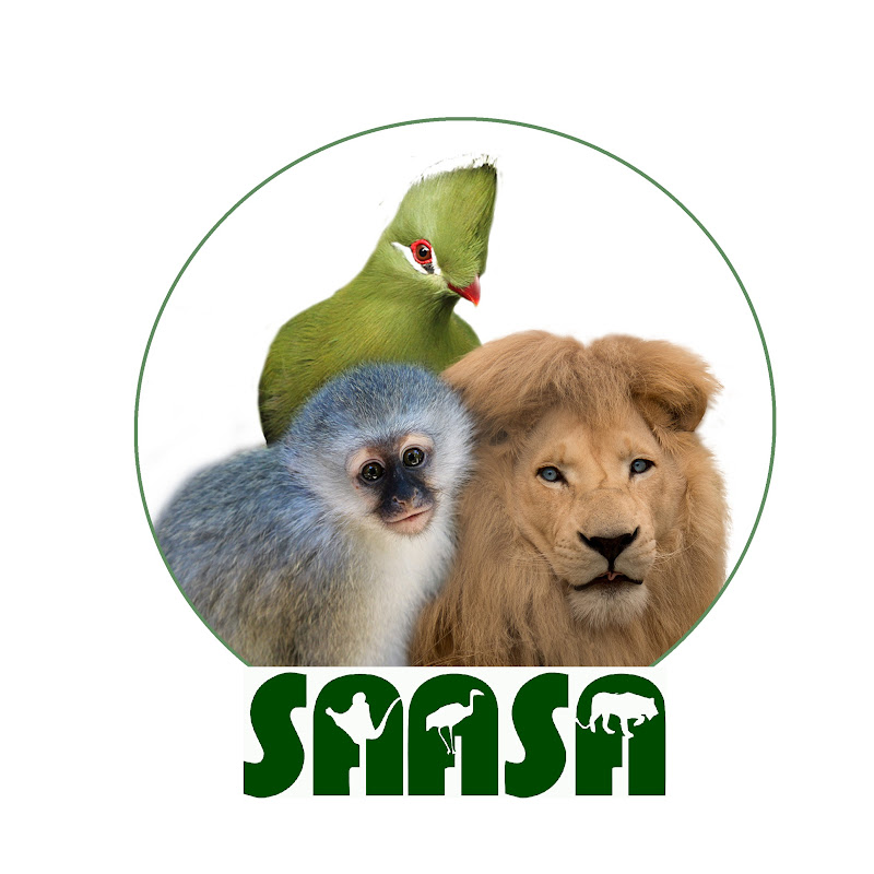Saasa SA