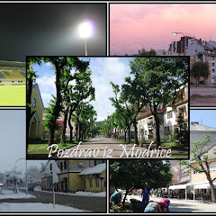 MODRIČA TV net worth