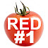 Qt5B6ceyJnE-channel-avatar-RedNumberONE