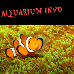 AQUARIUM INFO