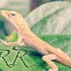 RemixReptiles