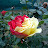 @jimsnacho0562's avatar