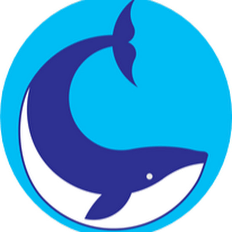 WHALE COAST REALTY