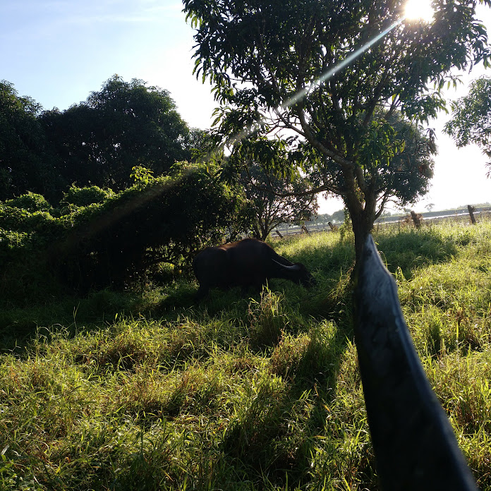 reynaldo bautista (CMLC) Net Worth & Earnings (2026)