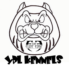 フレンチブルドッグ専門犬舎YPL KENNELSアイコン画像