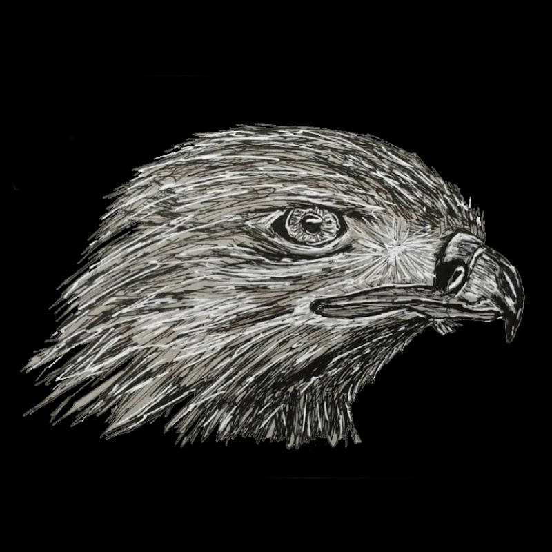 Illustrations By Pete