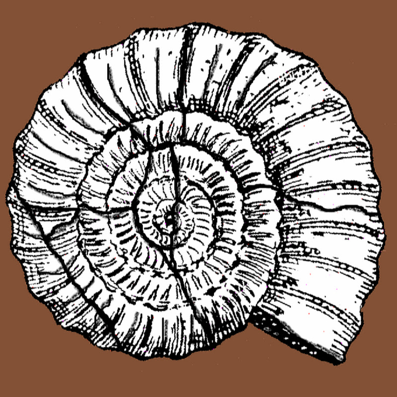 PaleoWorld