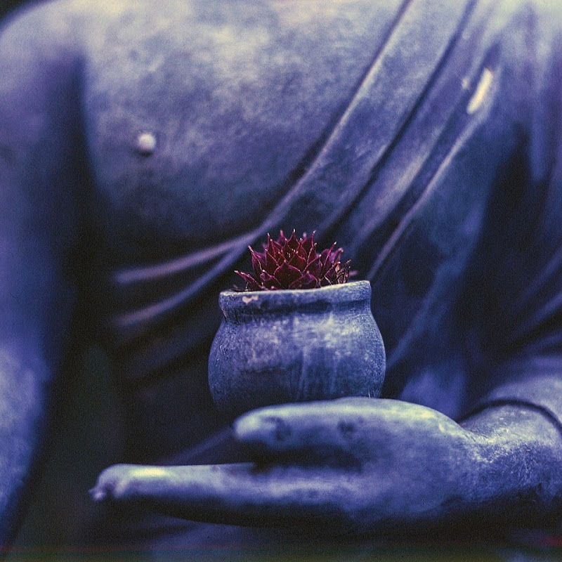 Project Ocean icon