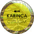 GvdK_zhKEj8-channel-avatar-Karınca Çiftliğim