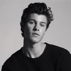 shawn mendes