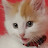 @luxvita2815's avatar