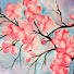 EYMhxArfZSw-channel-avatar-Ace_likethecard