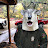 @johnschauder Avatar