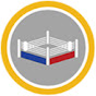 Fouts Boxing Theory logo