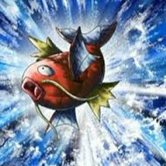 LV.46コイキング