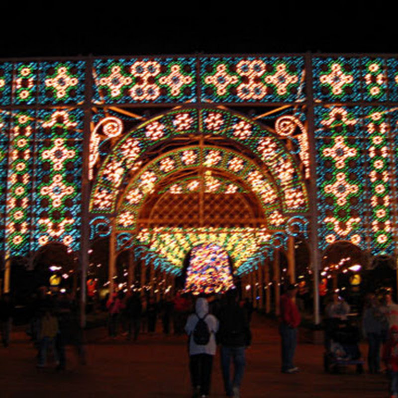 lightsofwinter