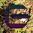 PEgB2zWP7o8-channel-avatar-Emily Wood