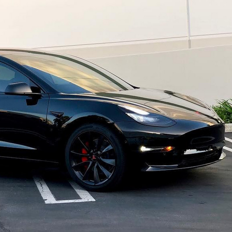 That Tesla Guy