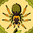 @dudwtfomg's avatar
