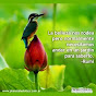 maravillosa4425