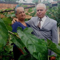 Vani Moreira profile image