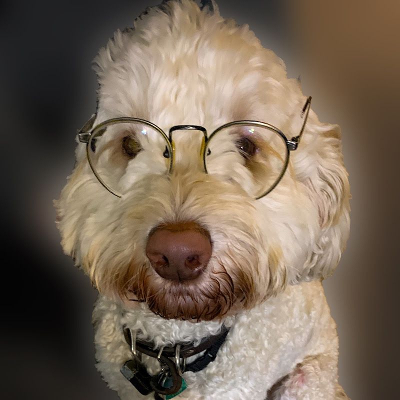 Henry Tenenbaum