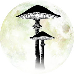 Lavinia Stamps Videos net worth