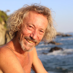 Dominique Guyaux - Alimentation Sensorielle