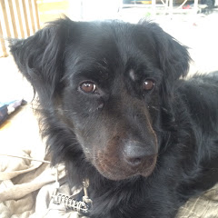 ASO Boyアイコン画像