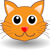 Kute Cats