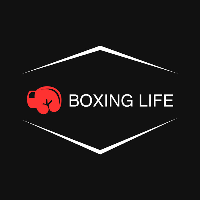 Boxing Life Net Worth & Earnings (2026)