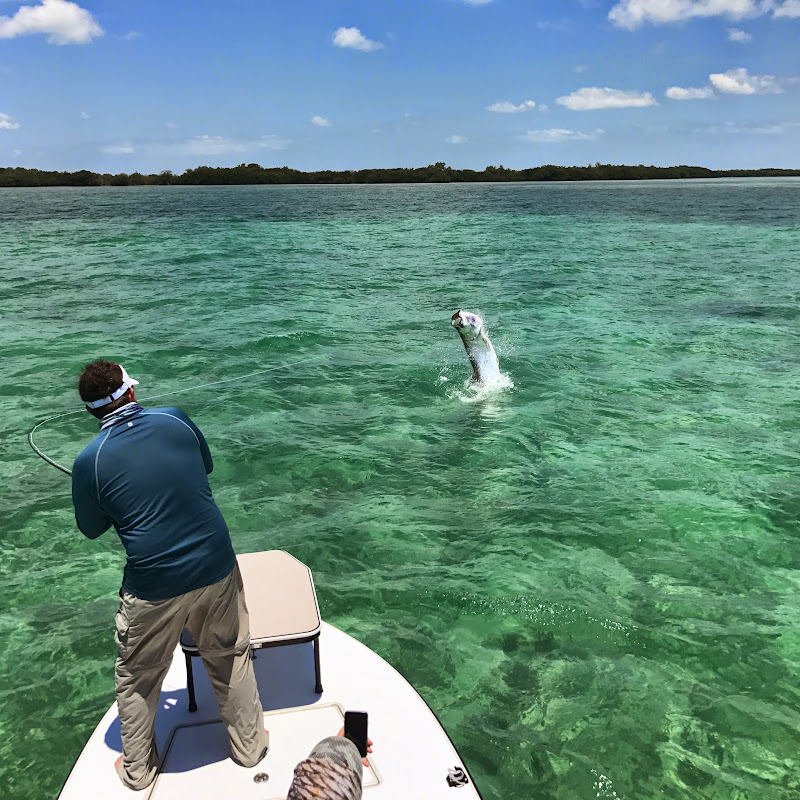 Southeastern Angling