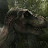 @Tyran-rex