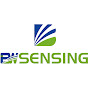BWSENSING logo