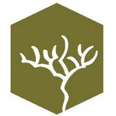 Congregation Emanu-El of Westchester