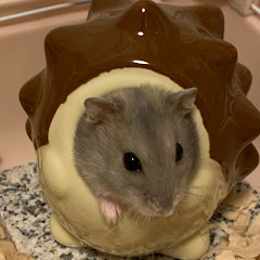 なるにアニマルズch