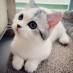 Just Aww avatar