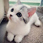 Just Aww Image Thumbnail