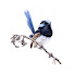 B8pazYVQlc8-channel-avatar-Deena Coulthard Artist