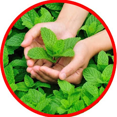 الحياة الزراعية - Life farming avatar