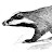 The Travelling Badger