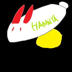 ハンニャ1