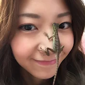 アリーの爬虫類チャンネル