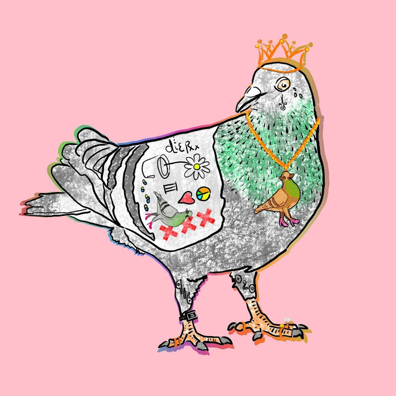 Sexy Pigeon