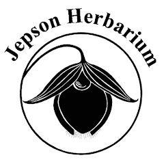 Jepson Herbarium