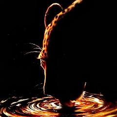 Thumbnail of related channel