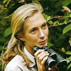 Jane Goodall Institute Belgium