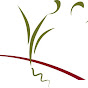 Quivira Coalition logo
