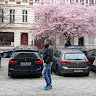 Автор